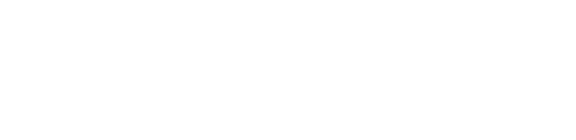 Fire Authority