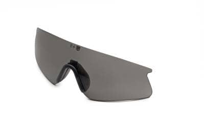 Revision Eyewear Sawfly Eyewear System (Lens, Large)