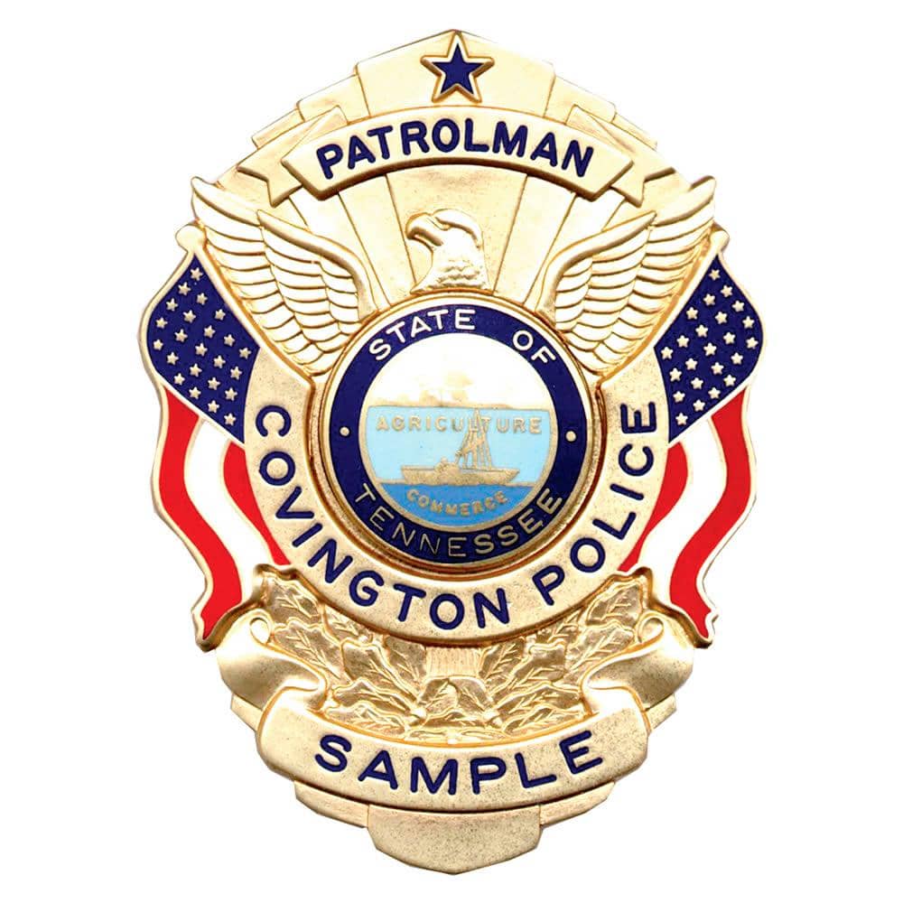 Blackinton Eagle Over Flags Badge